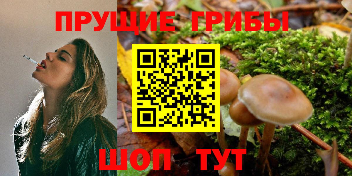 Псилоцибиновые грибы мухоморы Мытищи