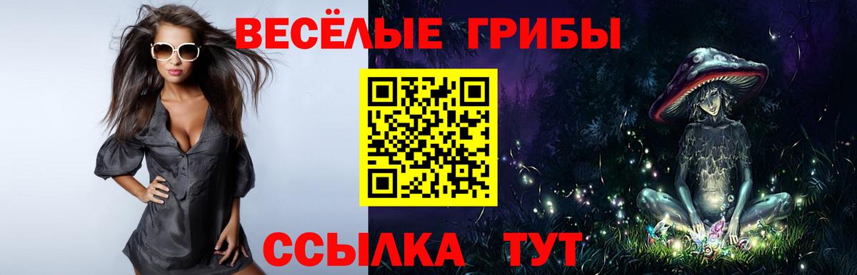 Мытищи  Псилоцибиновые грибы ЛСД  наркотики  Вход с VPN 